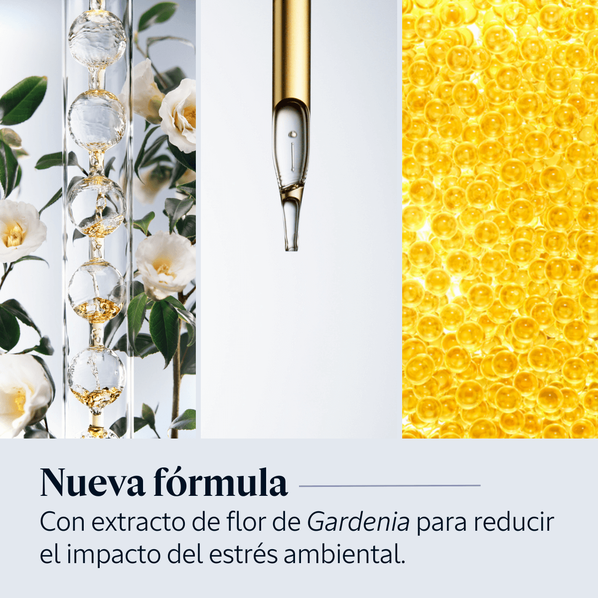 Sérum facial Immortelle Overnight Reset
