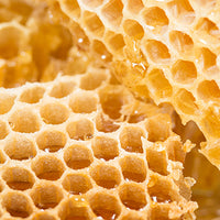 Honey Featured Ingredient - L'Occitane