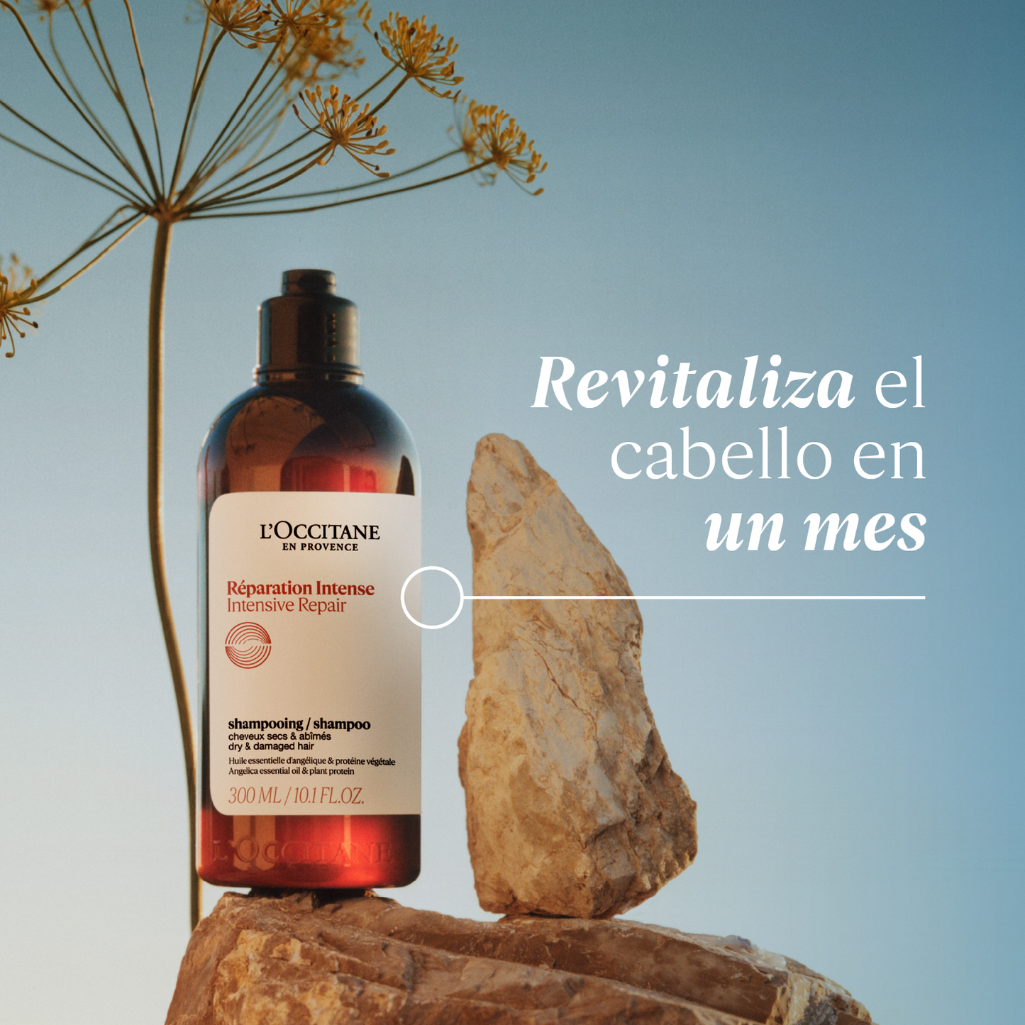 Recarga Shampoo Reparación Intensa