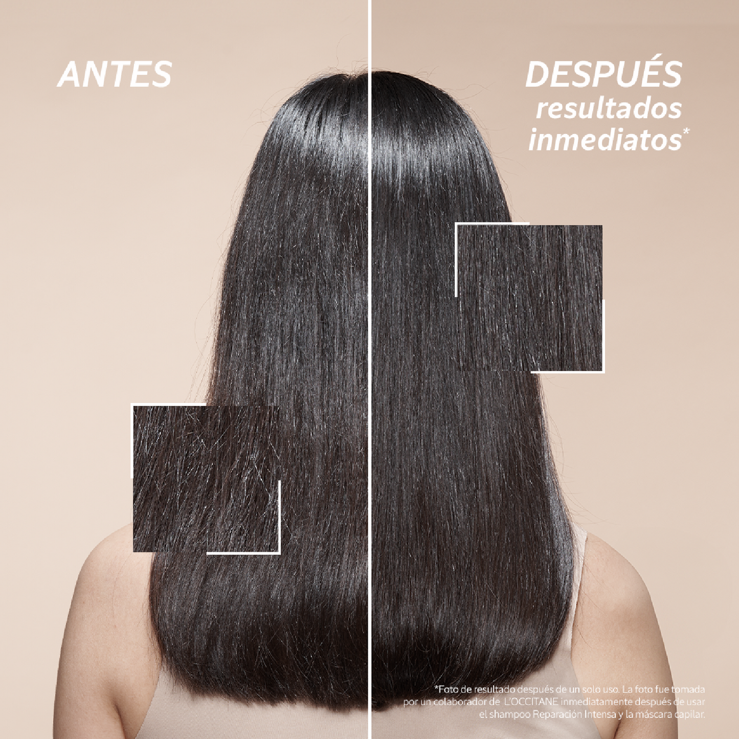 Recarga Shampoo Reparación Intensa