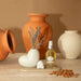 Set Marcelo Wong Aceite Elasticidad de Almendra