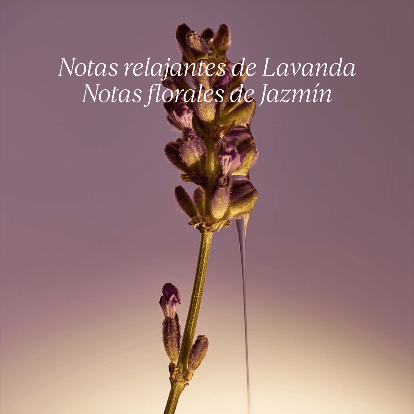 Jabón Líquido Karité Lavanda