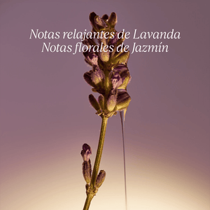 Jabón Líquido Karité Lavanda