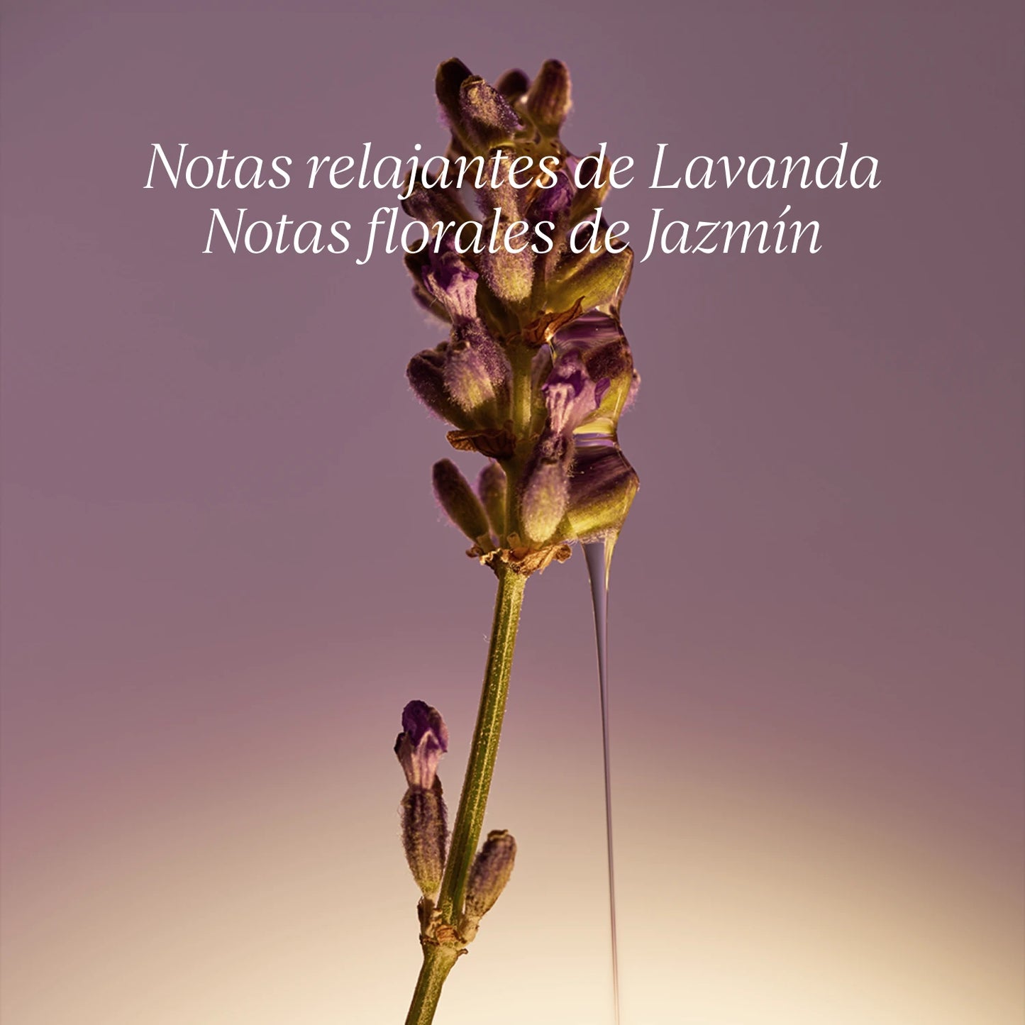 Jabón Liquido Karité Lavanda