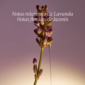 Jabón Liquido Karité Lavanda