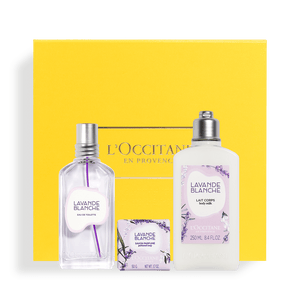 Trío Lavanda Blanca
