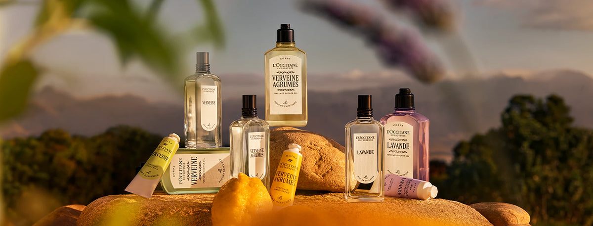 RELANZAMIENTO VERBENA Y LAVANDA