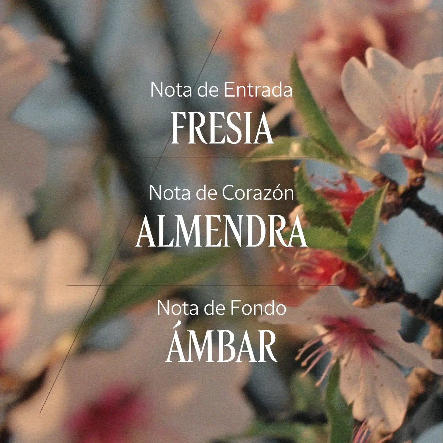 Bruma perfumada para Cabello y Cuerpo Almendra