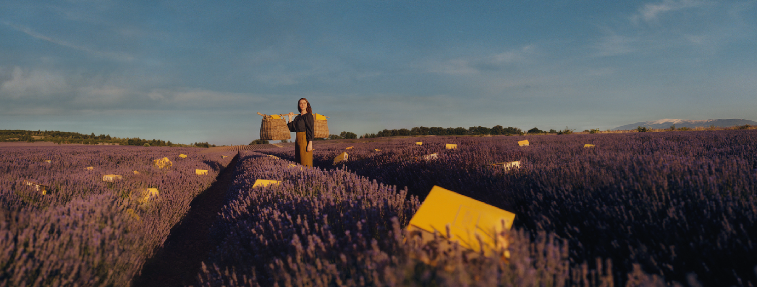 Regístrate GRATIS en el Club Provenzal